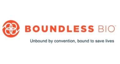 Boundless.png